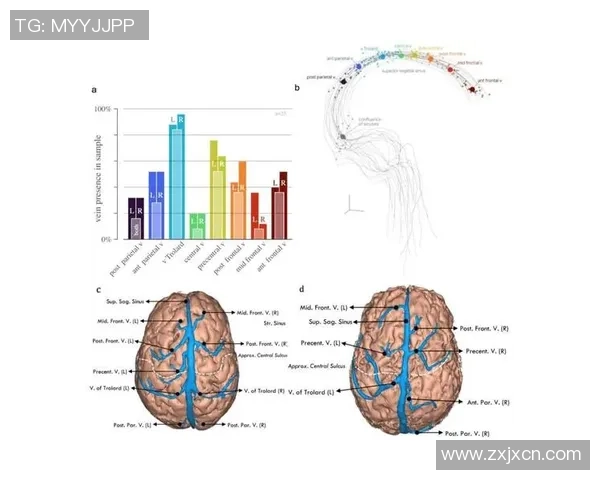 脑机接口伦理探讨：神经系统直接连接的挑战与未来展望